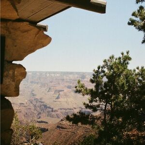 Leddie Shipping Label